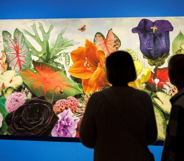 Natuurrondleiding door Arcadia