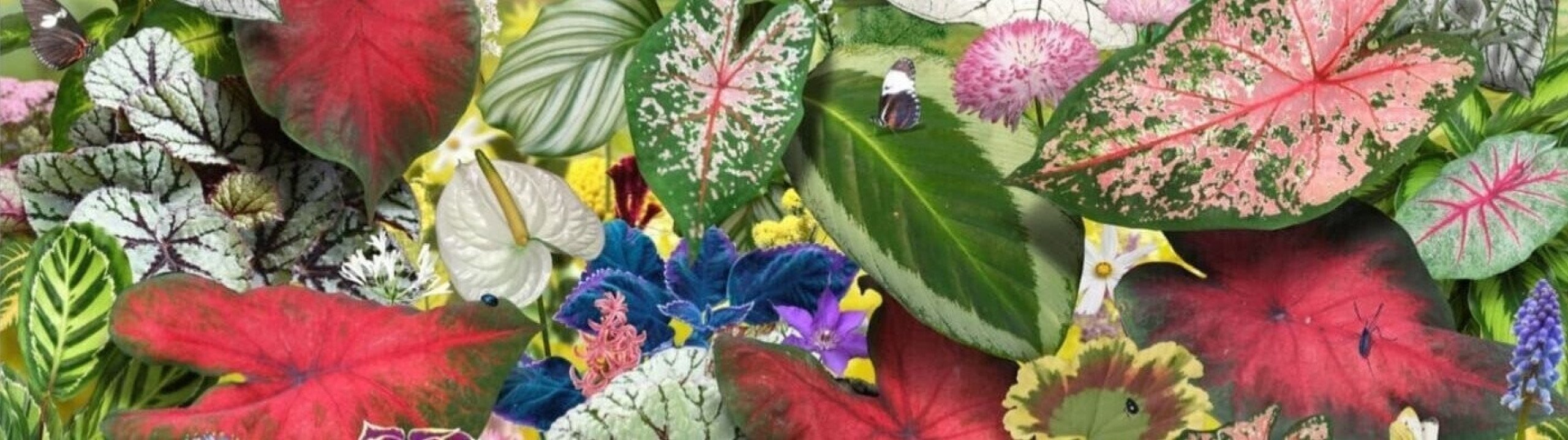 Ruud van Empel – Voyage Pittoresque