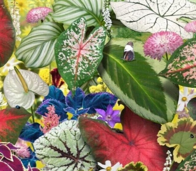 Ruud van Empel – Voyage Pittoresque