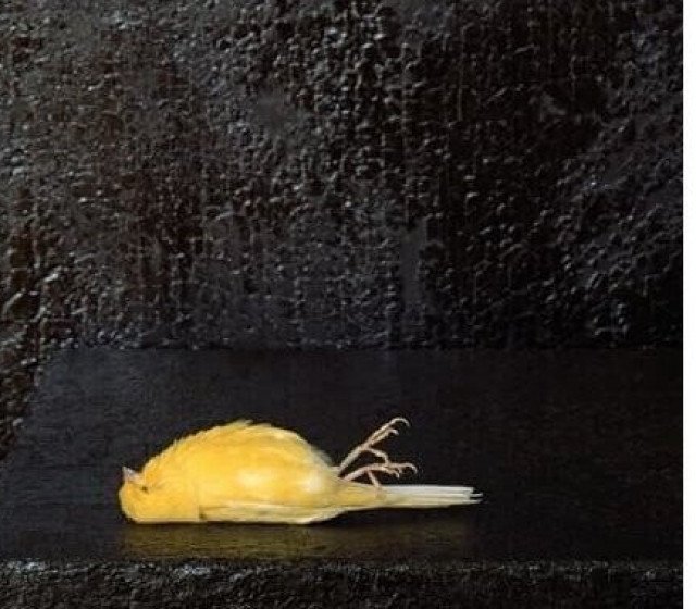 Pieter Laurens Mol – Night Flight