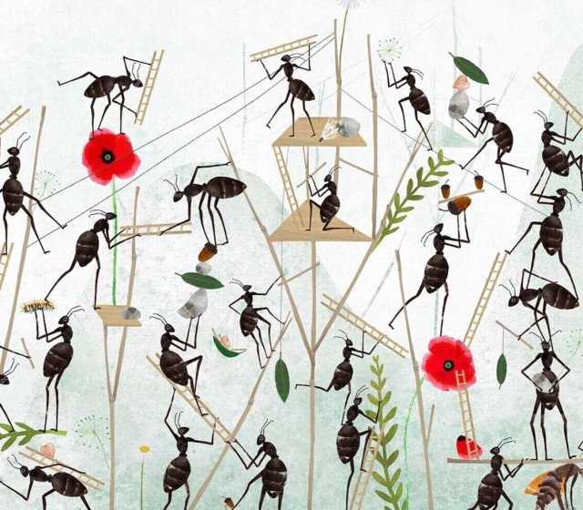 Dierenstad - Familiezomerprogramma